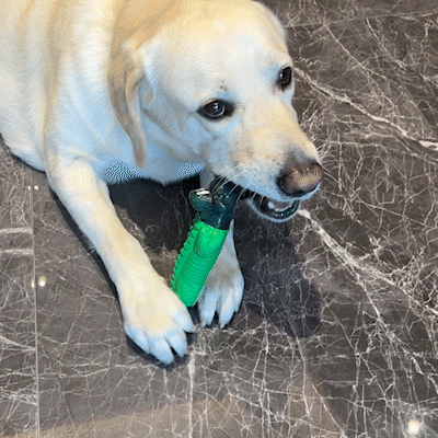 Buy one get one free: Green Gummy Alligator Dog Chew Toy For Aggressive Chewers