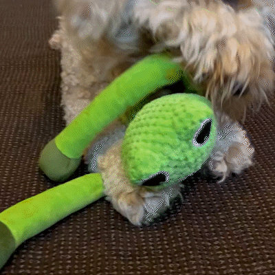 Fuufome Frog Squeak Plush Dog Toy For Aggressive Chewers