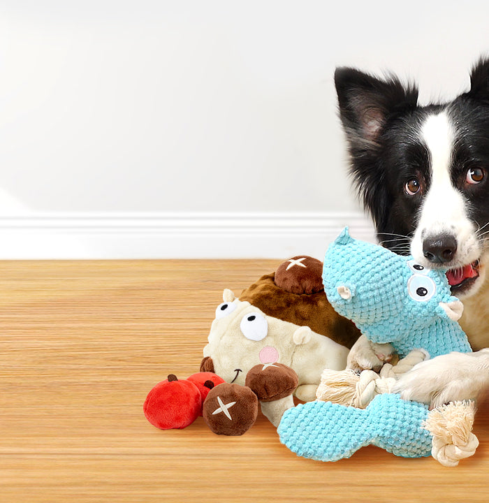 Pet Joy, Starting From Toys!